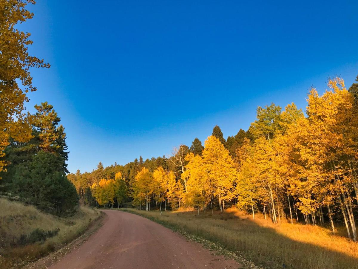 Pine Ridge - Memories Are Made Here! Florissant Екстер'єр фото